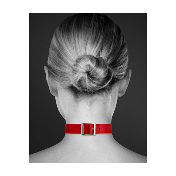 Collier en cuir rouge SM avec anneau métal argenté pour laisse 